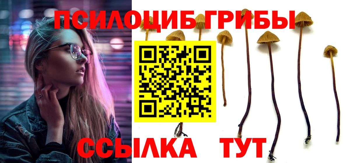 Галлюциногенные грибы прущие грибы Сатка