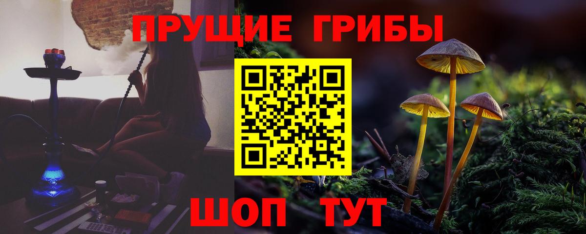 Псилоцибиновые грибы Magic Shrooms  Вход с VPN  Псилоцибиновые грибы Psilocybine cubensis  Сатка 